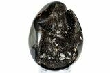 Septarian Dragon Egg Geode - Sparkly Black Crystals #308802-1